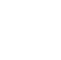 ca-icon