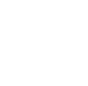 ca-icon