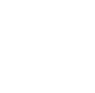 ca-icon